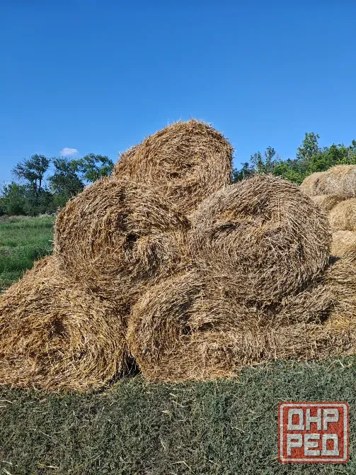 Солома в рулонах Комсомольское - изображение 1