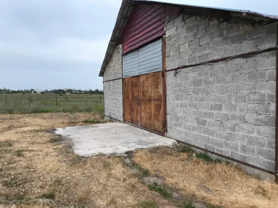 Ферма, Склад, Свободного назначения, 600 м² Старобешево