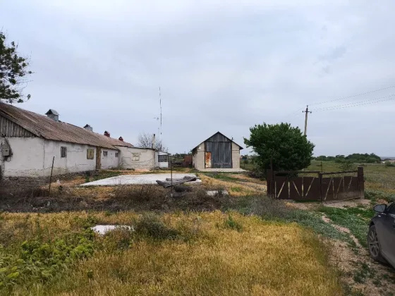 Ферма, Склад, Свободного назначения, 600 м² Старобешево
