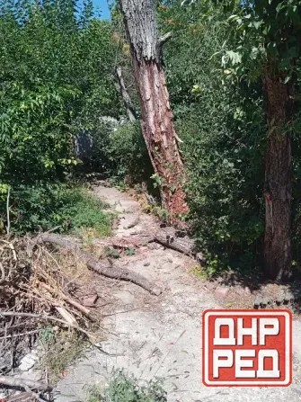 дом 3к 43м2 центрально городской рн (ор-р 15 линия) 1,4 млн руб Макеевка - изображение 7