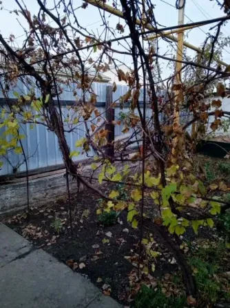 Продаётся добротный дом на Заперевальной со всеми коммуникациями. Донецк