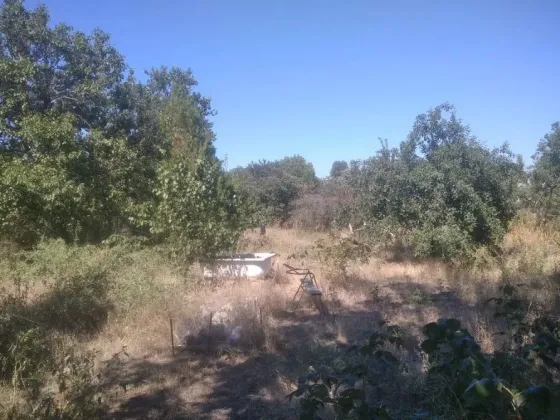 Продам дом в г. Новоазовск по ул. Энгельса Новоазовск