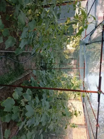 Продам приватизированный участок 8 соток с домом. Донецк