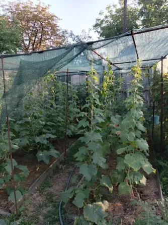 Продам приватизированный участок 8 соток с домом. Донецк