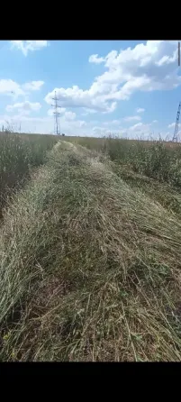 Покос травы на участке любой сложности 650 рублей,работаем по всей Макеевке,Харцызске,Зугрес Макеевка