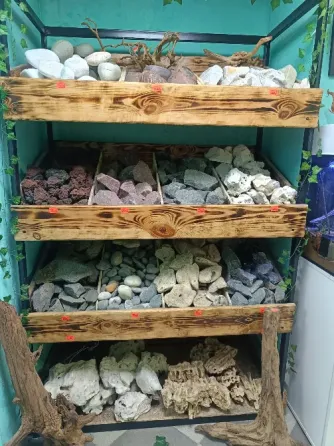 Аквариумные рыбки Донецк