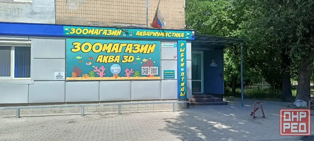 Аквариумные рыбки Донецк - изображение 1