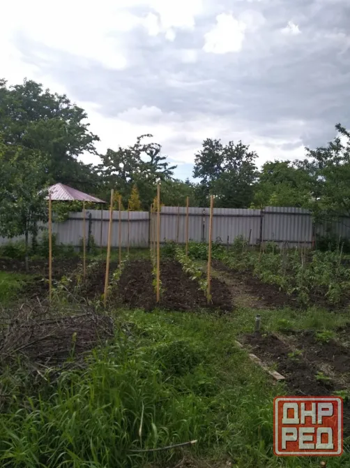 Продам дом , район военкомата Макеевка - изображение 9