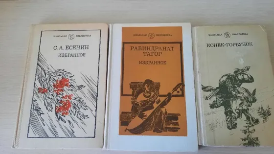 Книги для школьника пакетом Донецк