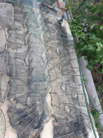 Удочки, ракаловки Донецк