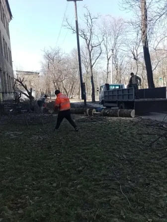Валка деревьев Донецк