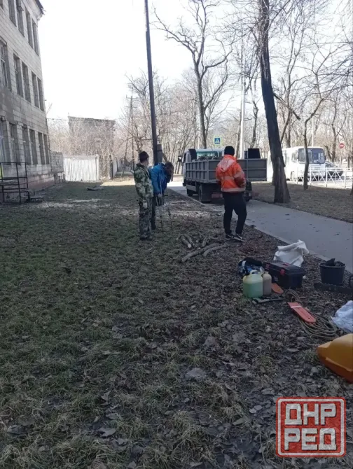 Валка деревьев Донецк - изображение 1