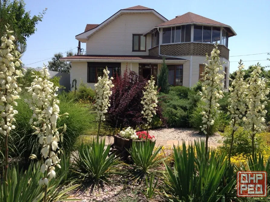 Продам шикарный дом , 15 сот. приватизированный,Белосарайская коса. Мариуполь - изображение 1