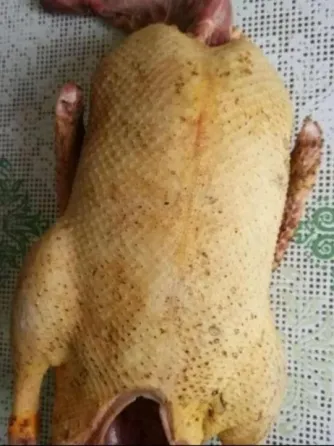 Продам домашнюю утку Донецк
