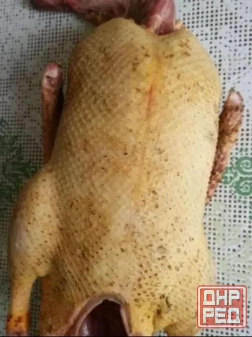 Продам домашнюю утку Донецк - изображение 1