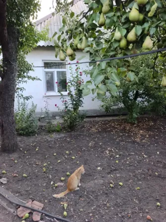 Продам 3к.дом Пролетарский район, Чулковка, поликлиника. Донецк