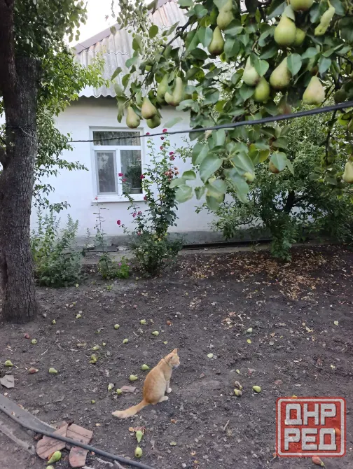 Продам 3к.дом Пролетарский район, Чулковка, поликлиника. Донецк - изображение 2