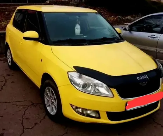 Skoda Fabia Донецк