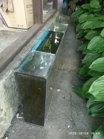Аквариум Донецк