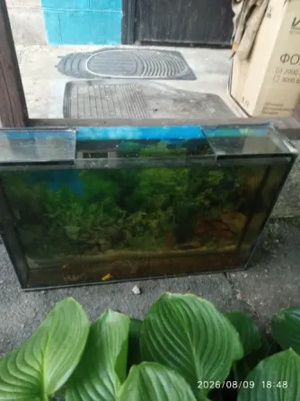 Аквариум Донецк