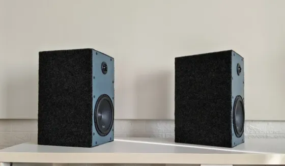 Акустическая система пассивная, кастомная 2 шт. Горловка