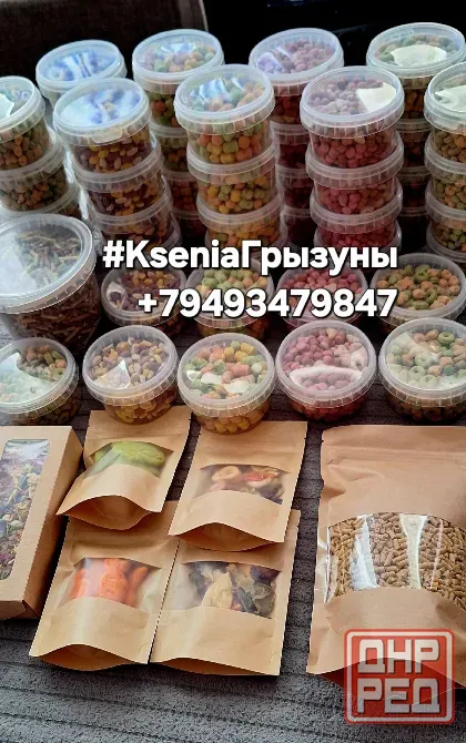 Декоративные кролики милые малыши Донецк - изображение 6
