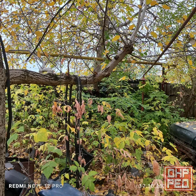 Продам дом требуется ремонт, пл Свободы Донецк - изображение 4