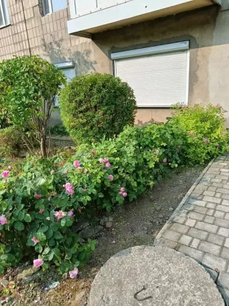 Кирова Нежилое помещение 120м² Донецк