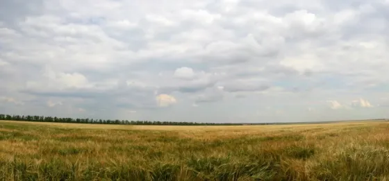 Продается участок в с.Калинино Мариуполь