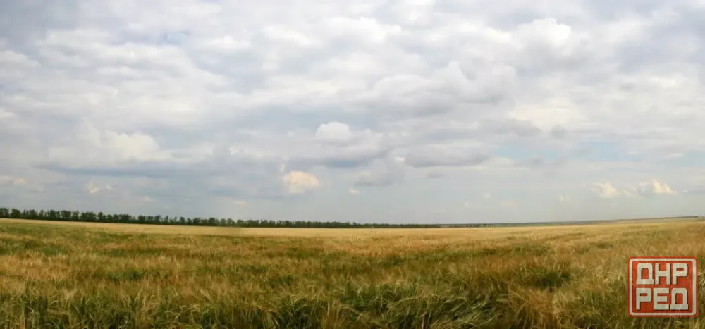 Продается участок в с.Калинино Мариуполь - изображение 2