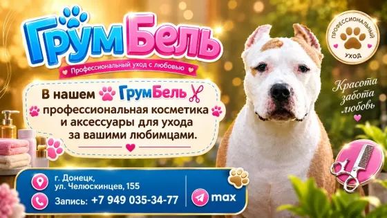 Стрижки кошек и собак! Грум-салон! Донецк