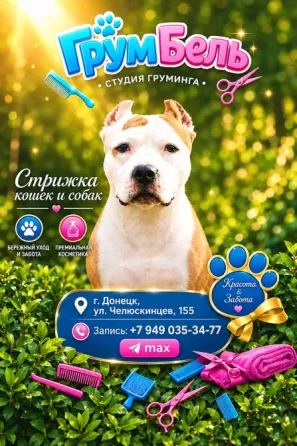 Стрижки кошек и собак! Грум-салон! Донецк