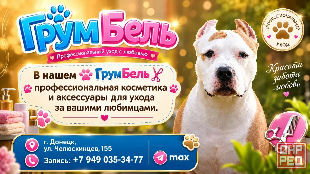 Стрижки кошек и собак! Грум-салон! Донецк - изображение 2