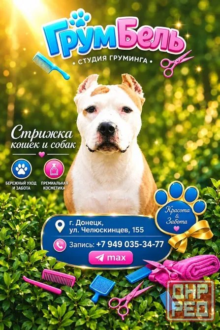 Стрижки кошек и собак! Грум-салон! Донецк - изображение 1