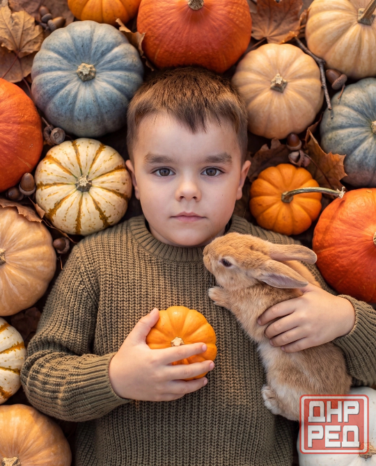 AI-Фотосессия Макеевка - изображение 1