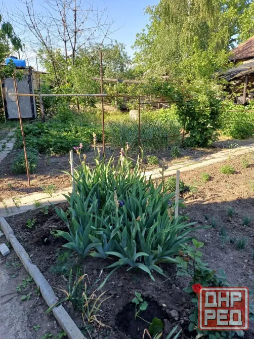 Продажа дома в пос.Коммунар, ул.Артема (верх) Макеевка - изображение 8