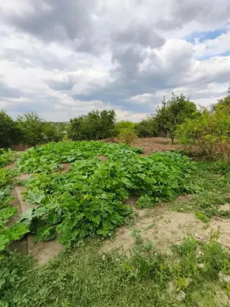Продам гараж Макеевка пос. Ясиновка Макеевка