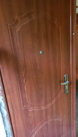 Дверь входная. Донецк