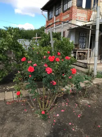 Продам дачный участок Донецк