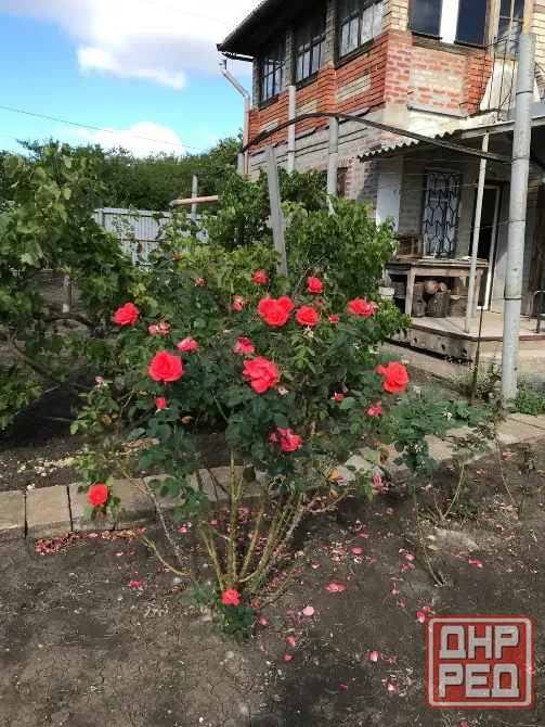 Продам дачный участок Донецк - изображение 2