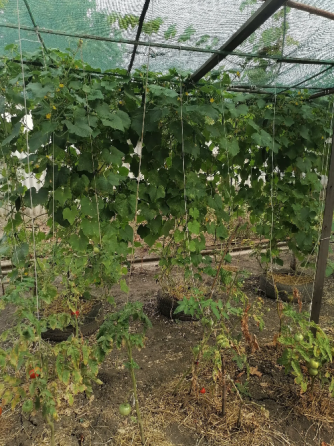 Продам дом Макеевка