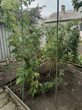 Продам дом Макеевка