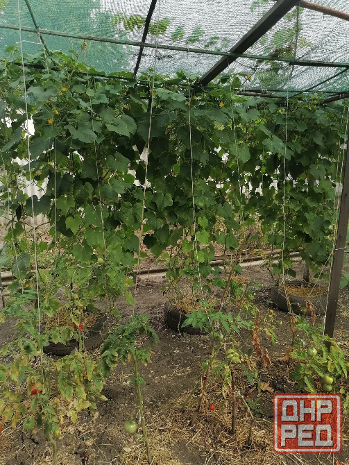 Продам дом Макеевка - изображение 1