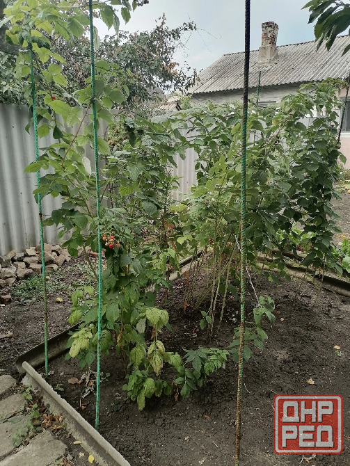 Продам дом Макеевка - изображение 2