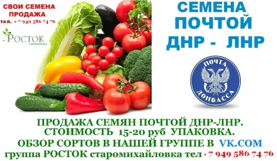 Семена Томатов . Свои семена Донецк Донецк