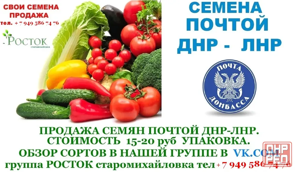 Семена Томатов . Свои семена Донецк Донецк - изображение 6