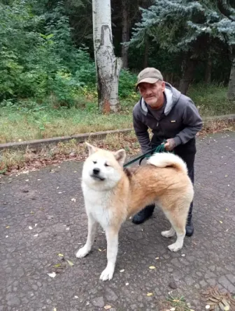 Скиф ищет семью Горловка