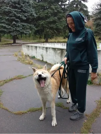 Скиф ищет семью Горловка