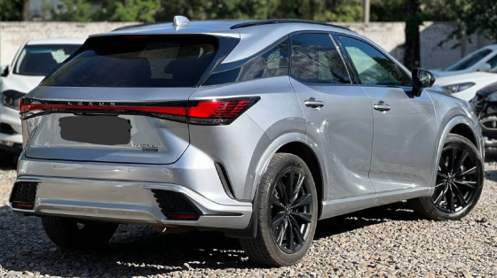 Lexus RX 500H F-Sport 2024 год в наличии полное переоформление в наличии состояние новой машины Донецк