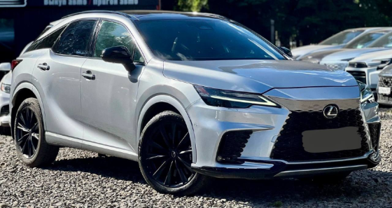 Lexus RX 500H F-Sport 2024 год в наличии полное переоформление в наличии состояние новой машины Донецк